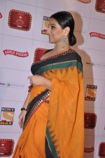 Vidya Balan at Stardust Awards 2013 red carpet in Mumbai on 26th jan 2013 (528).JPG